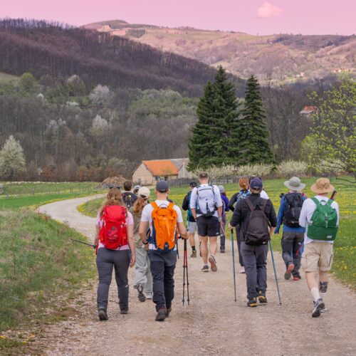 رحلات جماعية